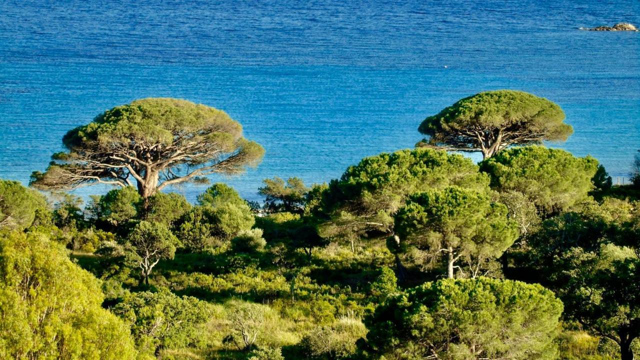 Residence Belvedere De Palombaggia Porto-Vecchio  Kültér fotó